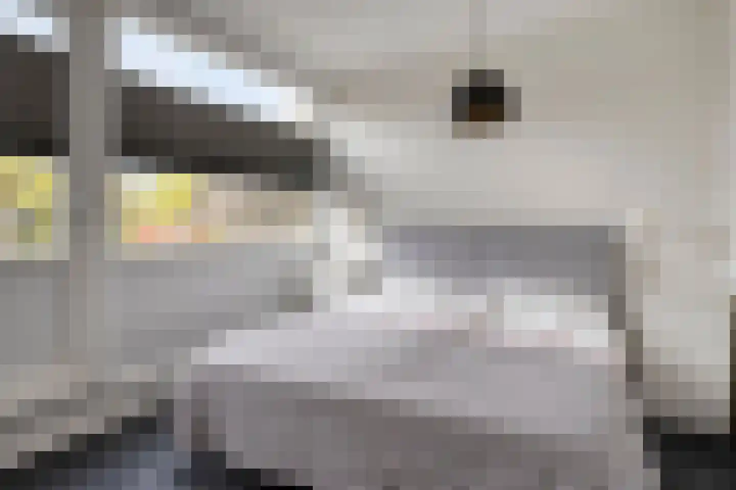 Boomstede 640 Maarssen thumbnail 31