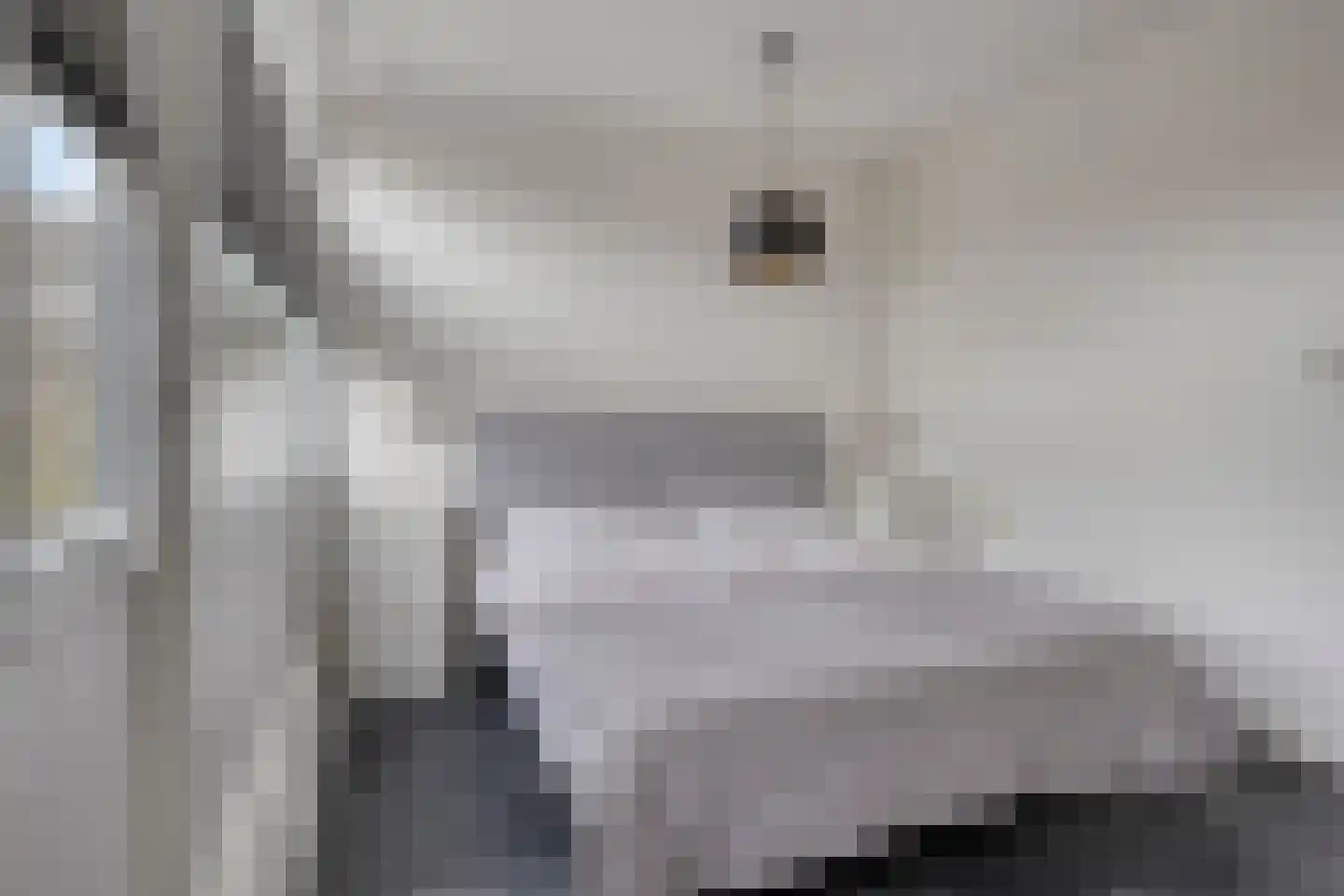 Boomstede 640 Maarssen thumbnail 32