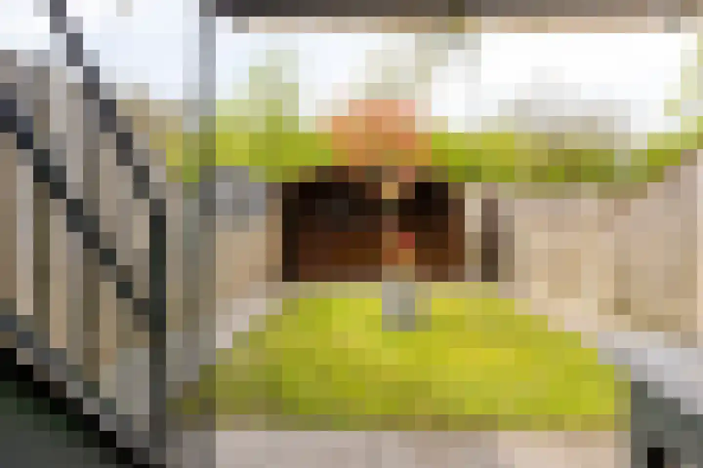 Boomstede 640 Maarssen thumbnail 37