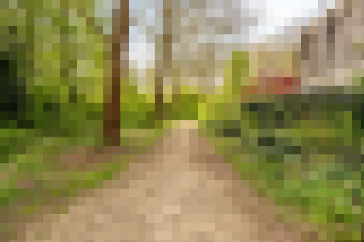 Boomstede 640 Maarssen thumbnail 43
