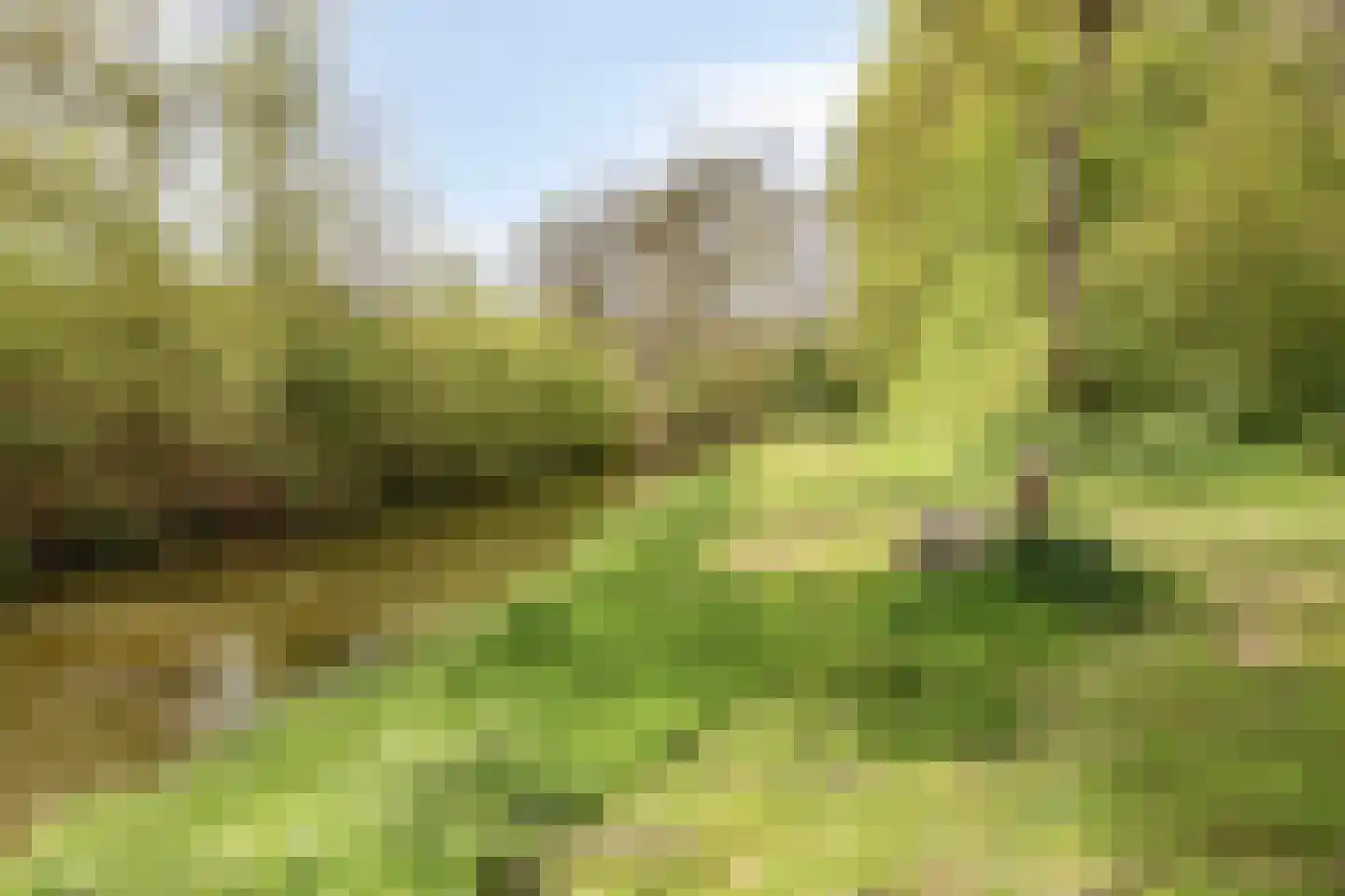 Boomstede 640 Maarssen thumbnail 44