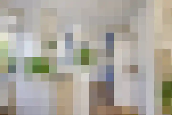 Boomstede 671 Maarssen thumbnail 13