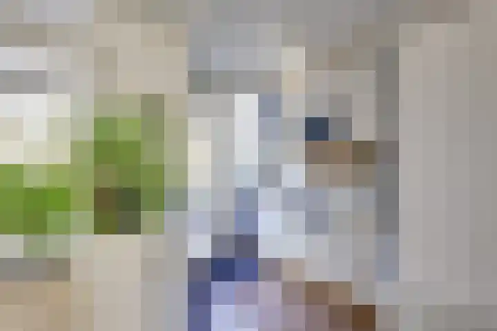 Boomstede 671 Maarssen thumbnail 14