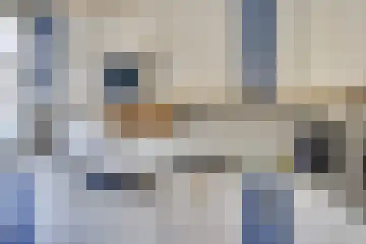 Boomstede 671 Maarssen thumbnail 16