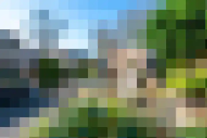 Boomstede 671 Maarssen thumbnail 23