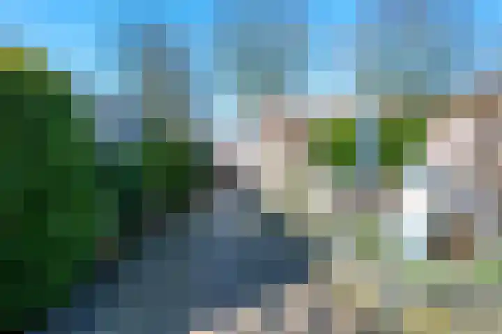 Boomstede 671 Maarssen thumbnail 24
