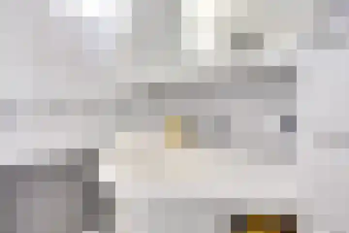 Boomstede 671 Maarssen thumbnail 32