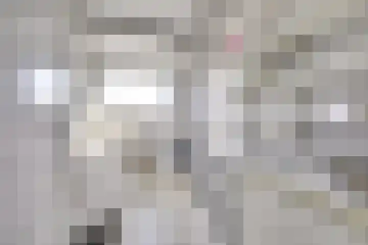 Boomstede 671 Maarssen thumbnail 44
