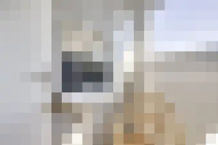 Boomstede 671 Maarssen thumbnail 47