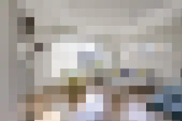 Boomstede 671 Maarssen thumbnail 7