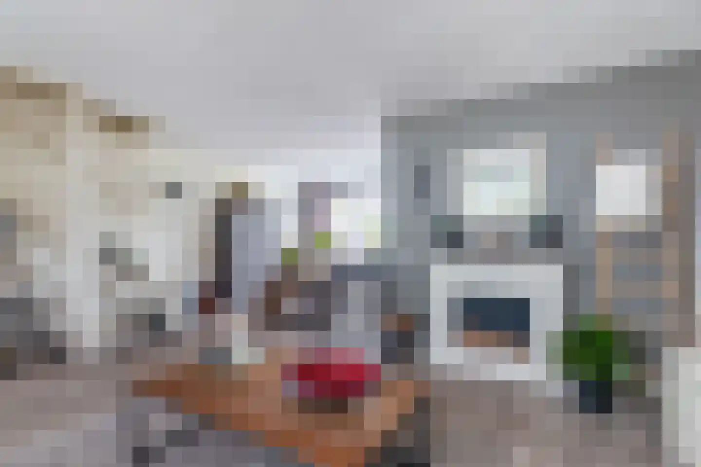 Boomstede 680 Maarssen thumbnail 13