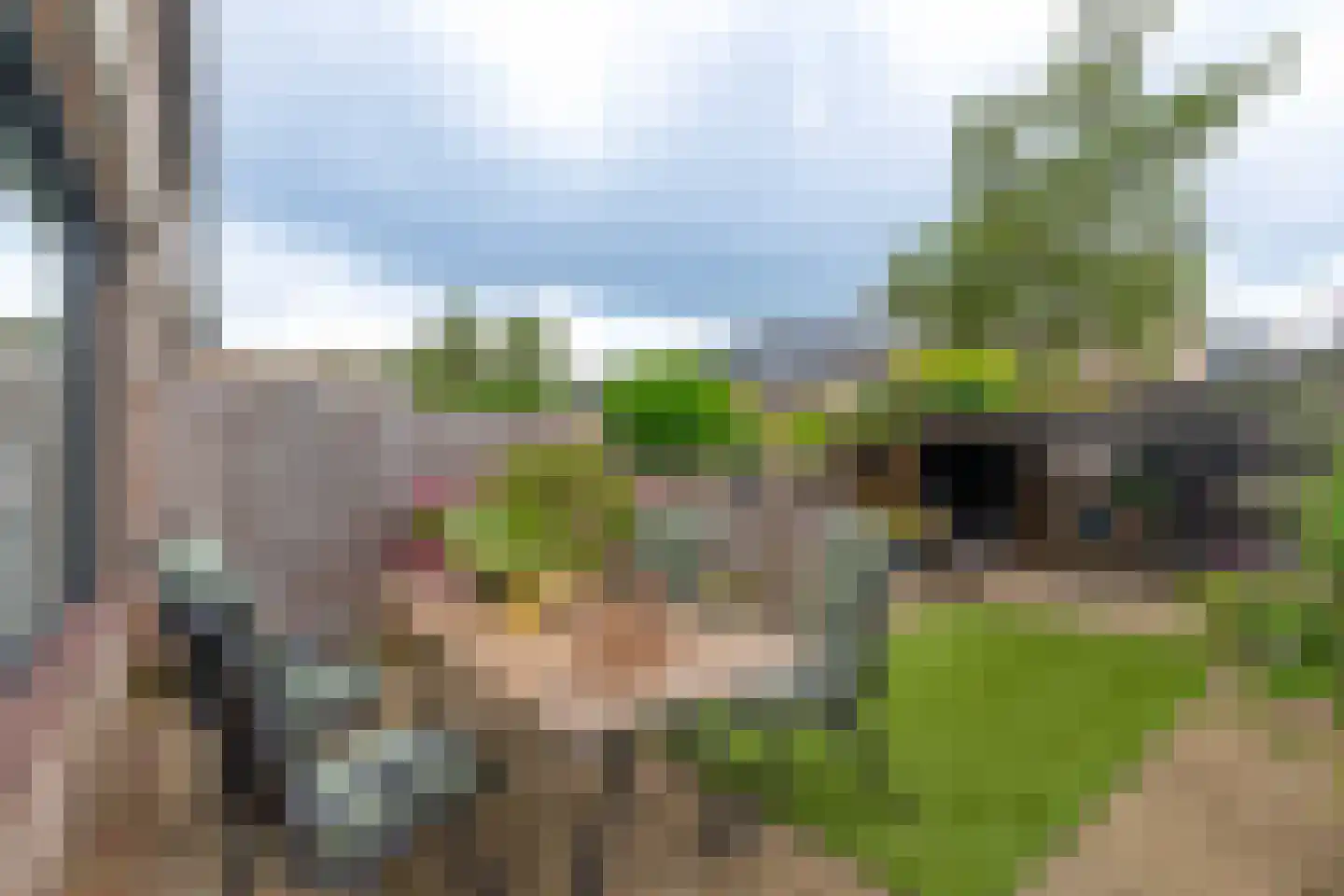 Boomstede 680 Maarssen thumbnail 20