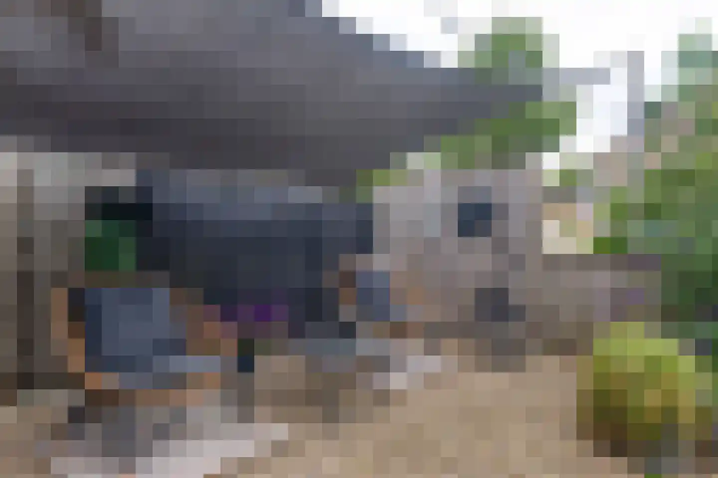 Boomstede 680 Maarssen thumbnail 24