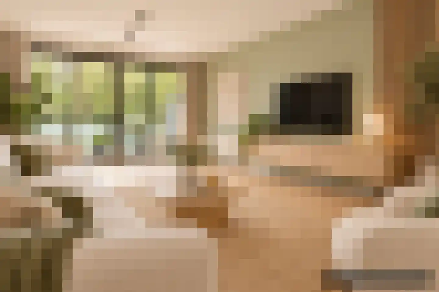 Boomstede 695 Maarssen thumbnail 12