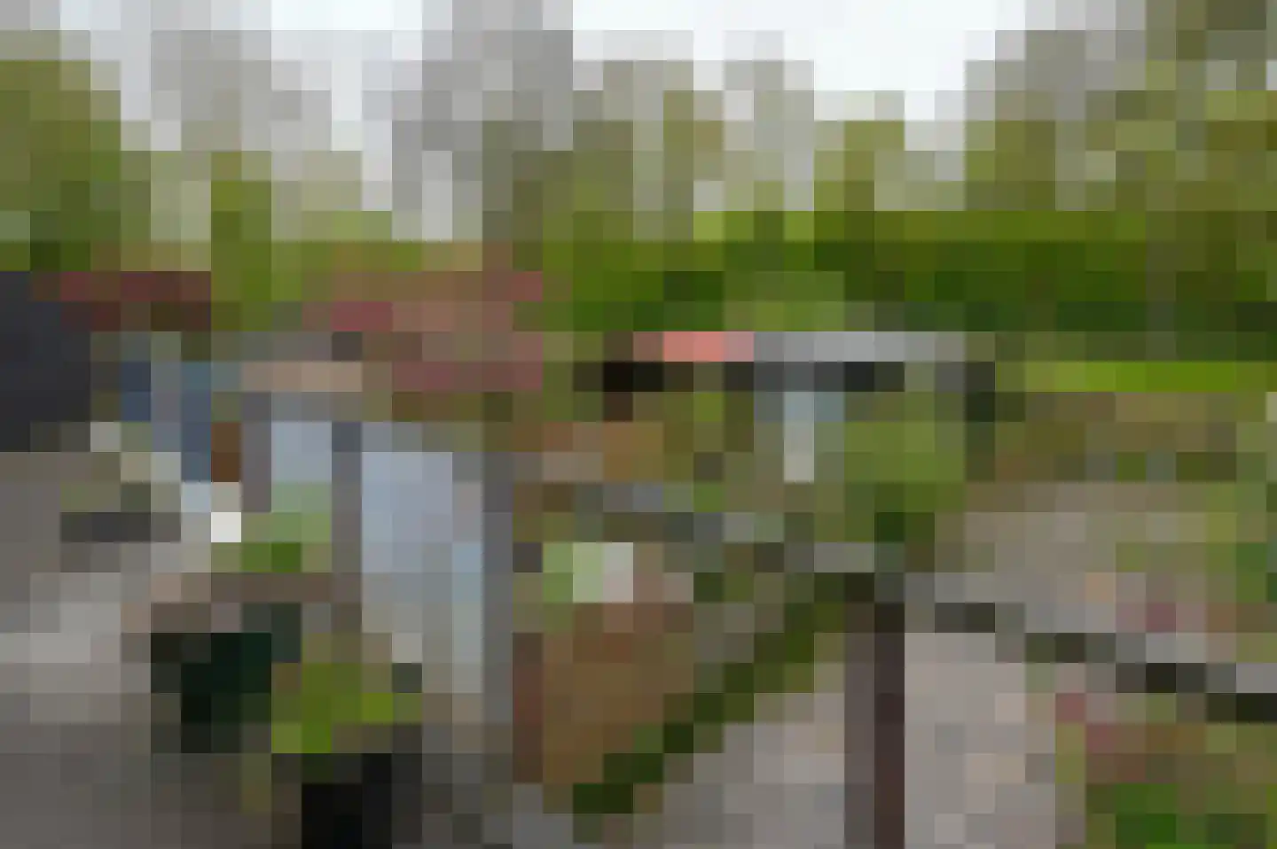 Boomstede 695 Maarssen thumbnail 14