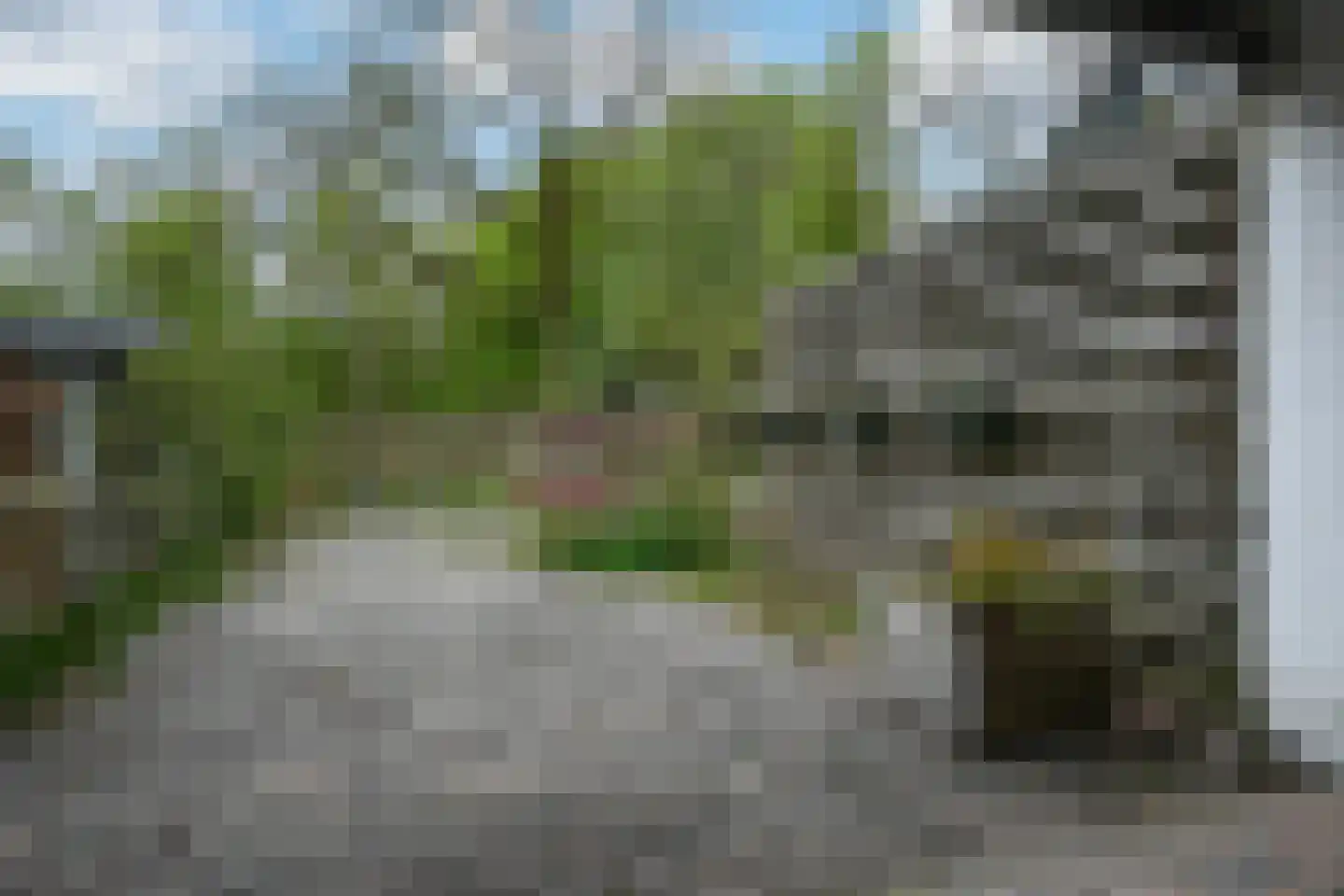 Boomstede 695 Maarssen thumbnail 25