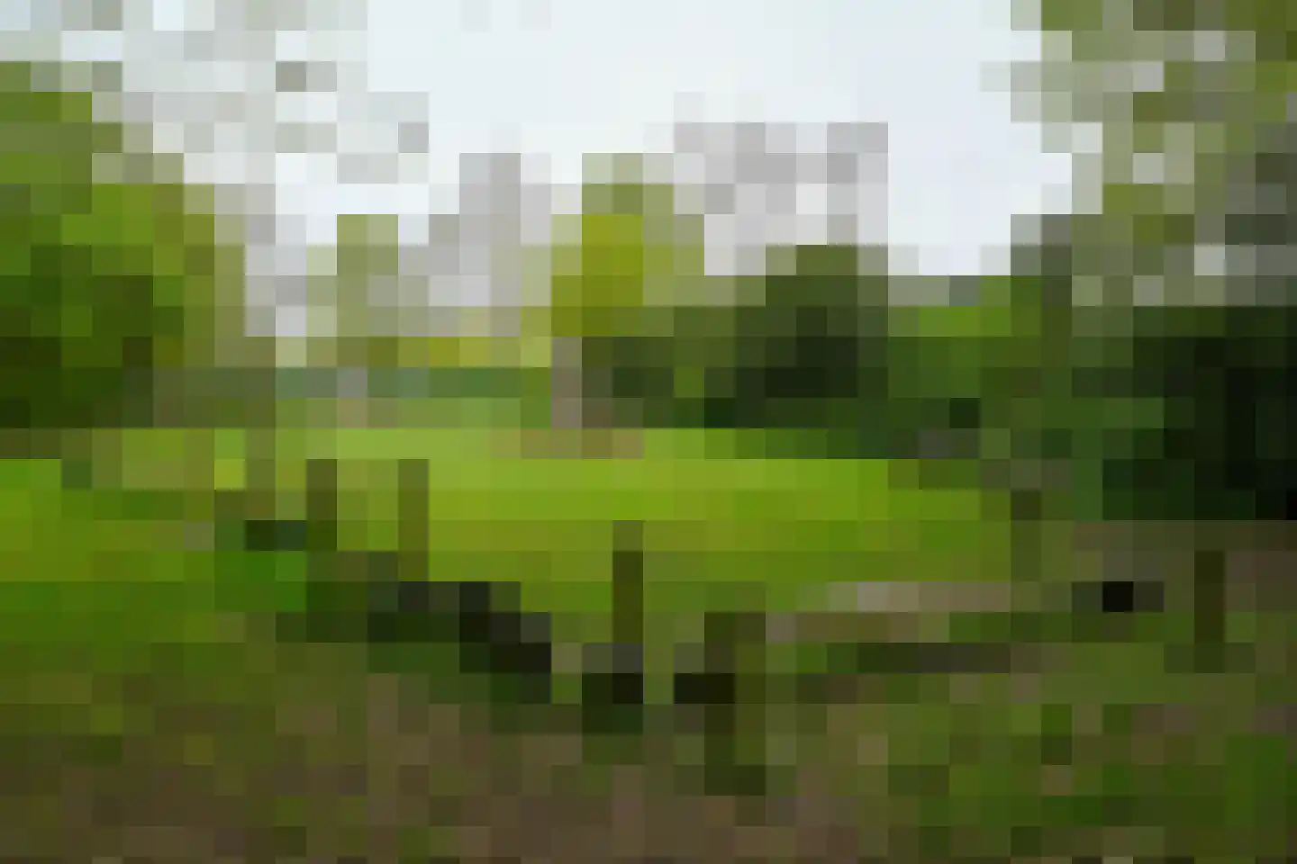 Boomstede 695 Maarssen thumbnail 28