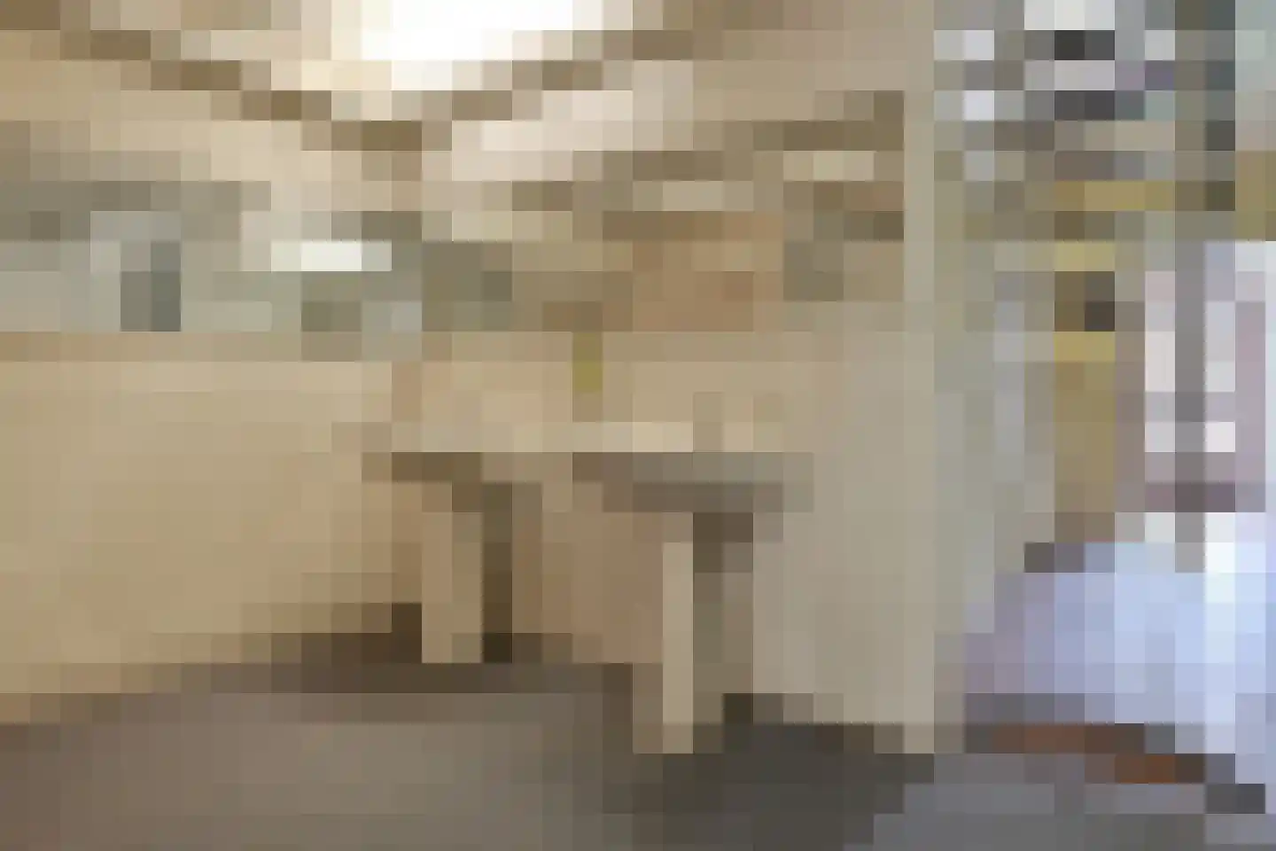 Boomstede 695 Maarssen thumbnail 5