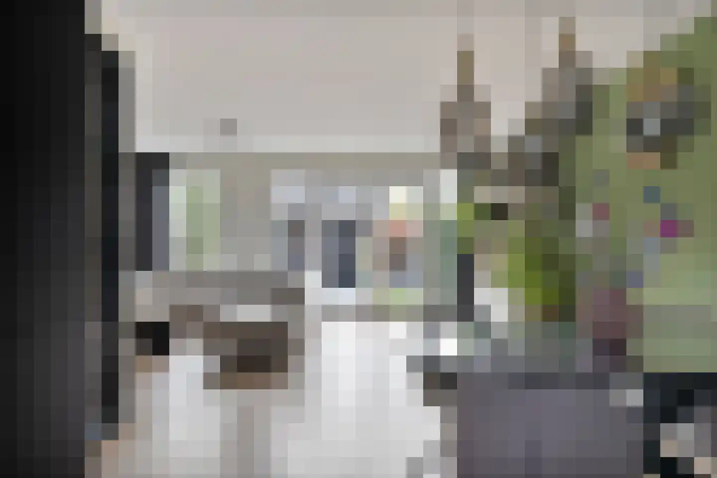 Boomstede 79 Maarssen thumbnail 16