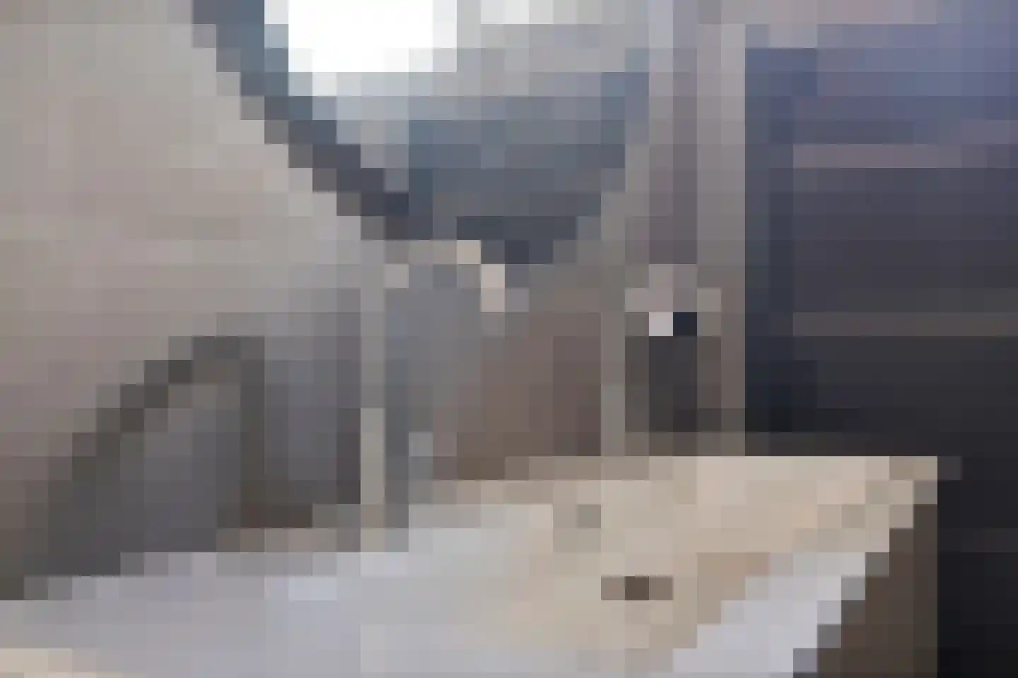 Boomstede 79 Maarssen thumbnail 25