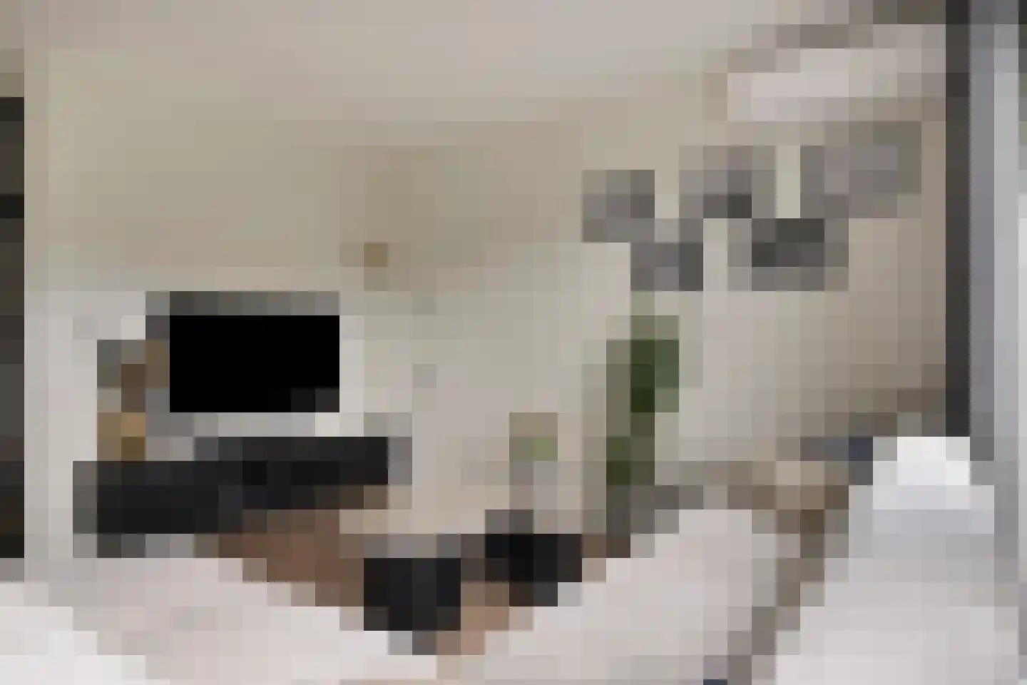 Boomstede 79 Maarssen thumbnail 7