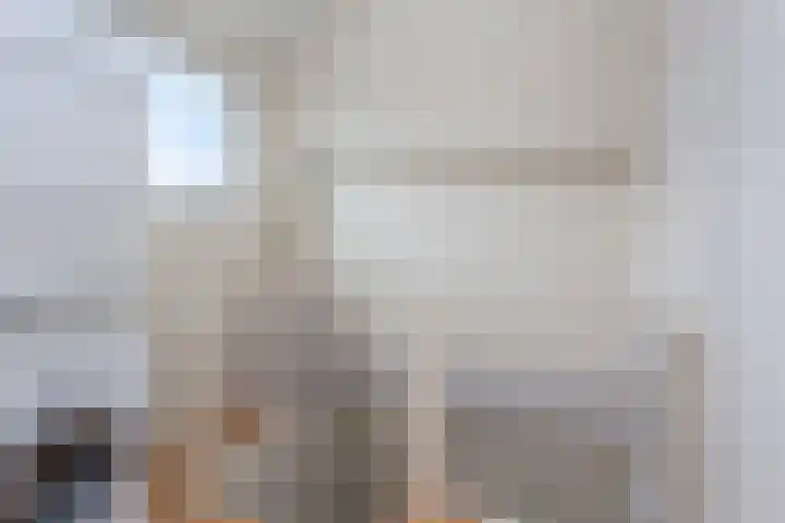 Boomstede 83 Maarssen thumbnail 24