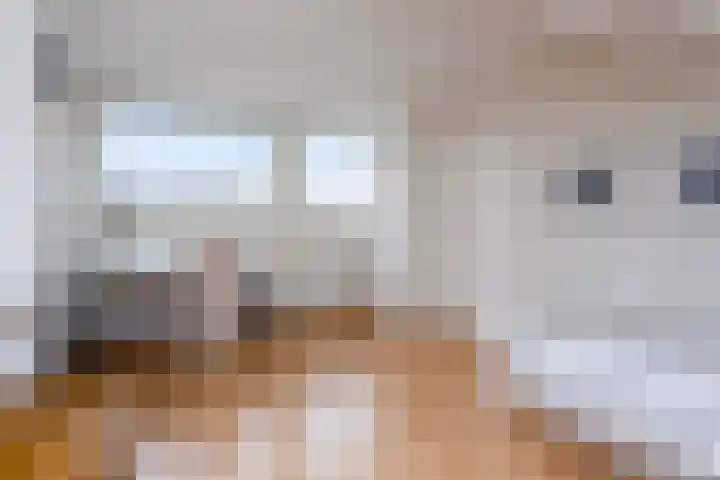 Boomstede 83 Maarssen thumbnail 27