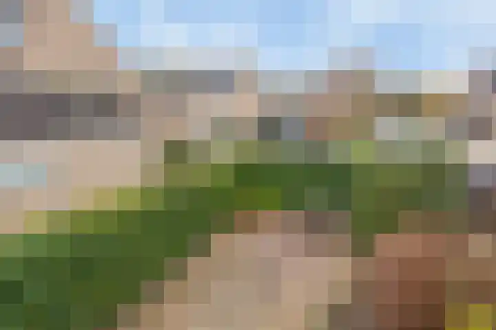 Boomstede 83 Maarssen thumbnail 29