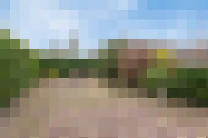Boomstede 83 Maarssen thumbnail 30