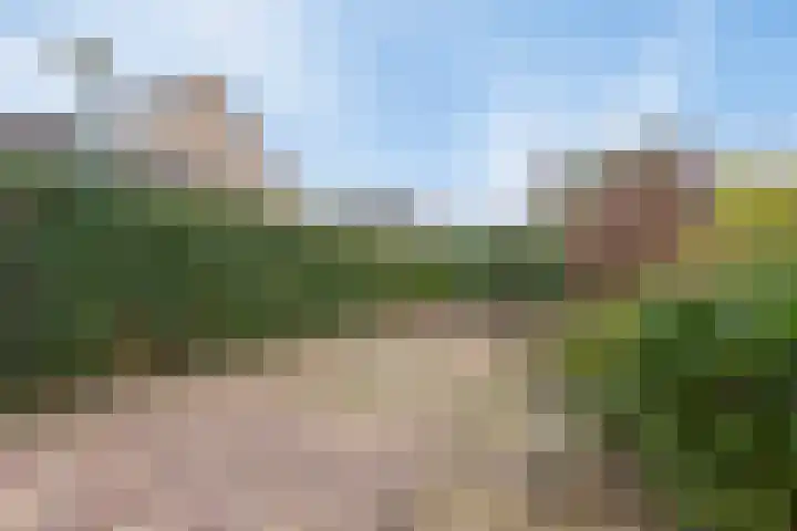 Boomstede 83 Maarssen thumbnail 31