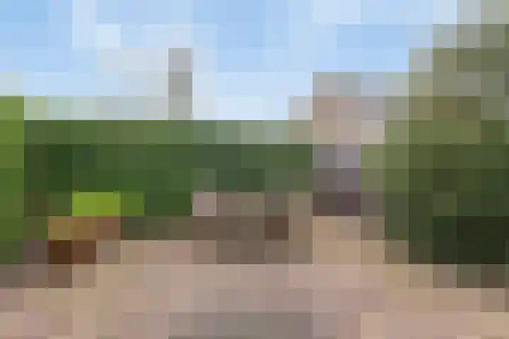 Boomstede 83 Maarssen thumbnail 32