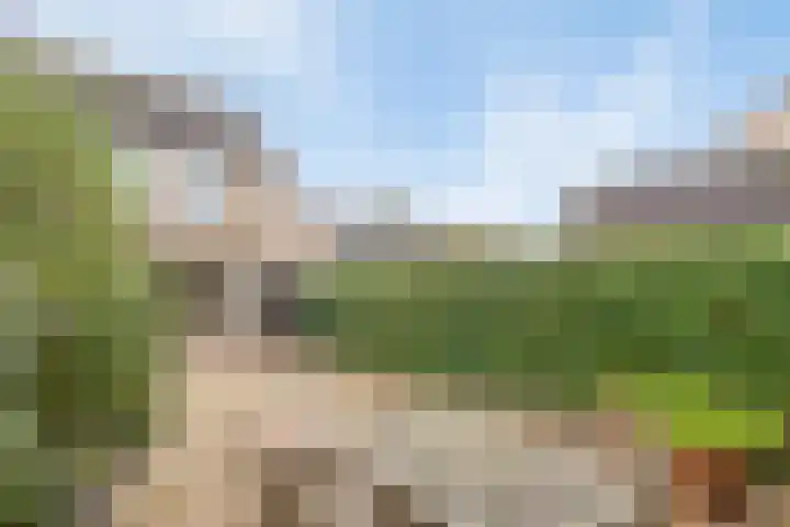 Boomstede 83 Maarssen thumbnail 33