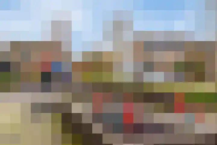 Boomstede 83 Maarssen thumbnail 39