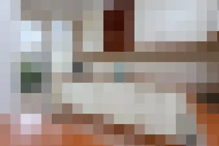 Boomstede 83 Maarssen thumbnail 9