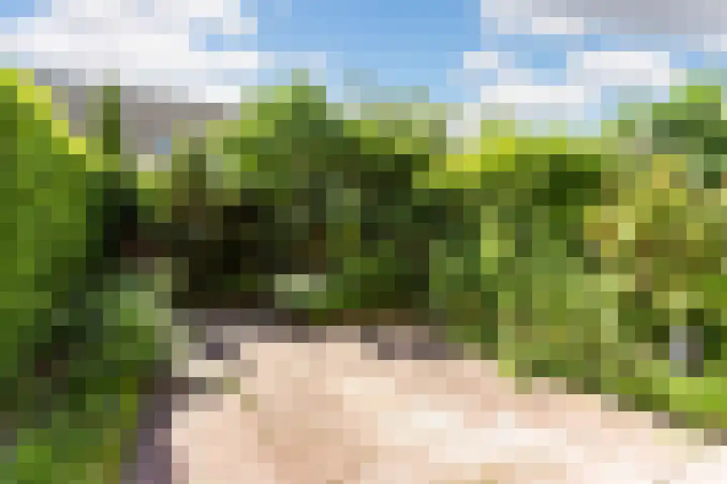 Boomstede 98 Maarssen thumbnail 32
