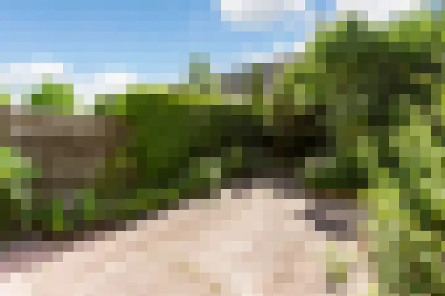 Boomstede 98 Maarssen thumbnail 33