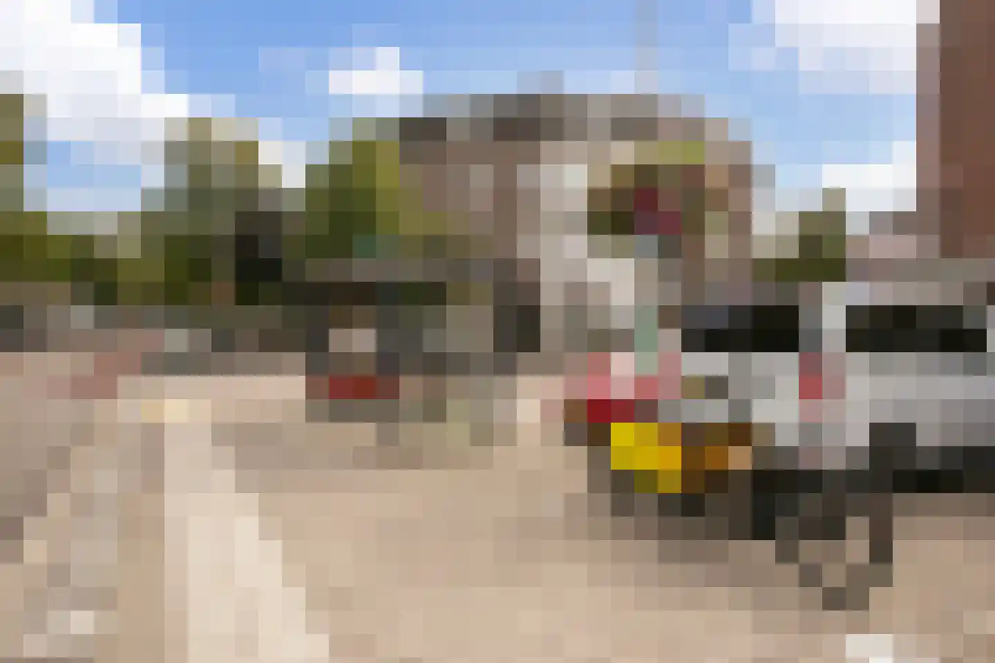Boomstraat 11 BS Utrecht thumbnail 32