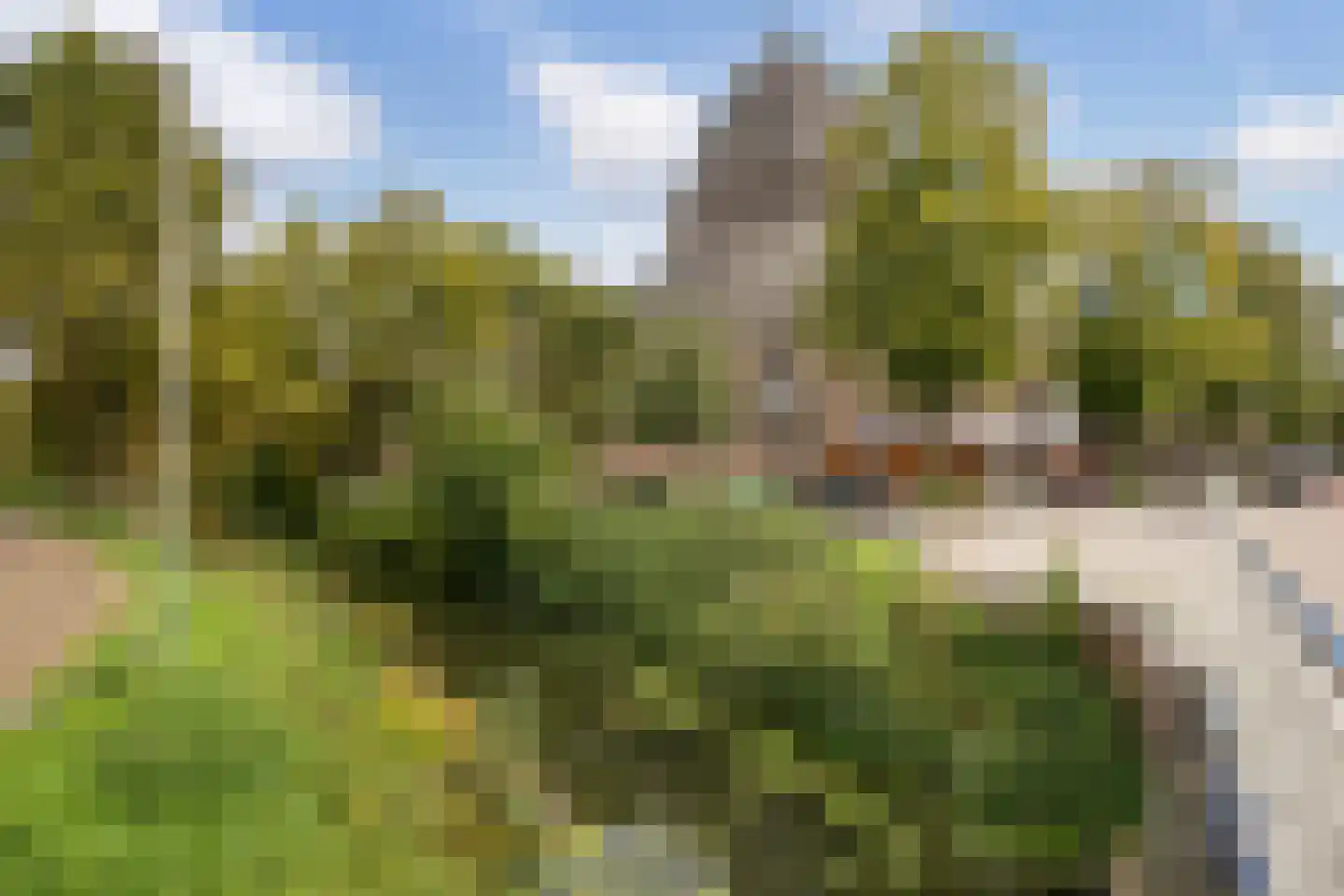 Boomstraat 11 BS Utrecht thumbnail 33