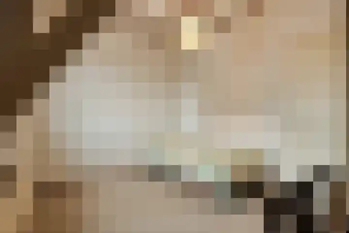 Boomstraat 110 Tilburg thumbnail 20
