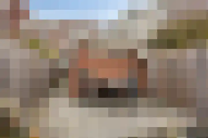 Boomstraat 110 Tilburg thumbnail 23