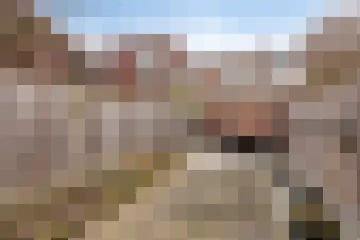 Boomstraat 110 Tilburg thumbnail 25