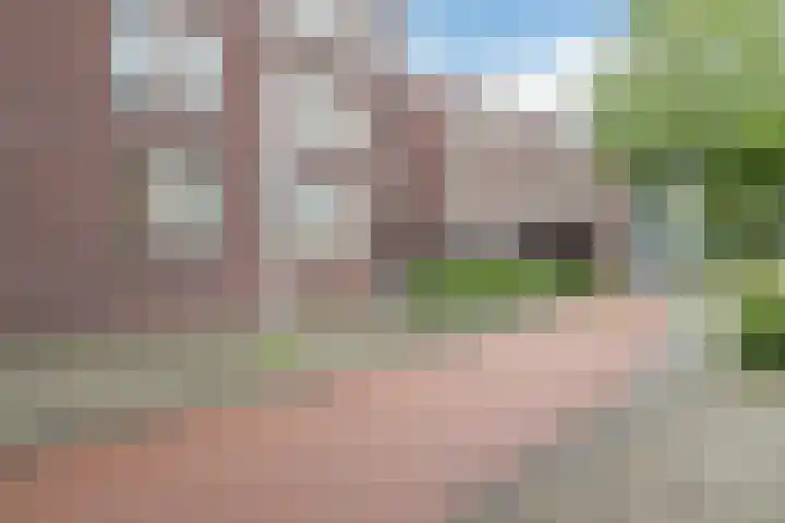 Boomstraat 116 Tilburg thumbnail 15