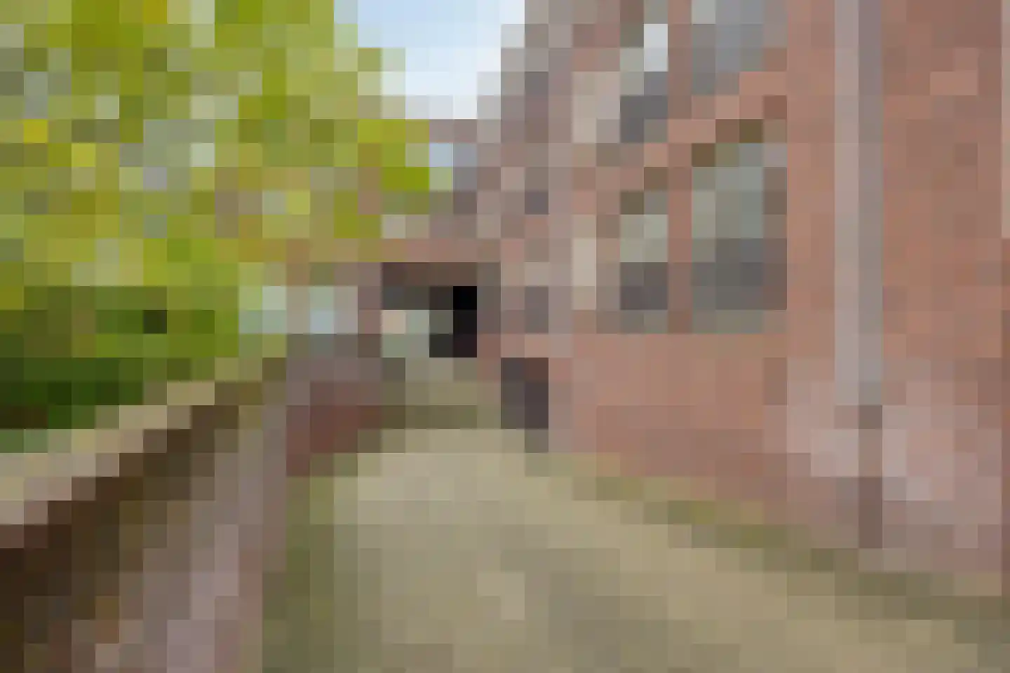 Boomstraat 118 d Tilburg thumbnail 38