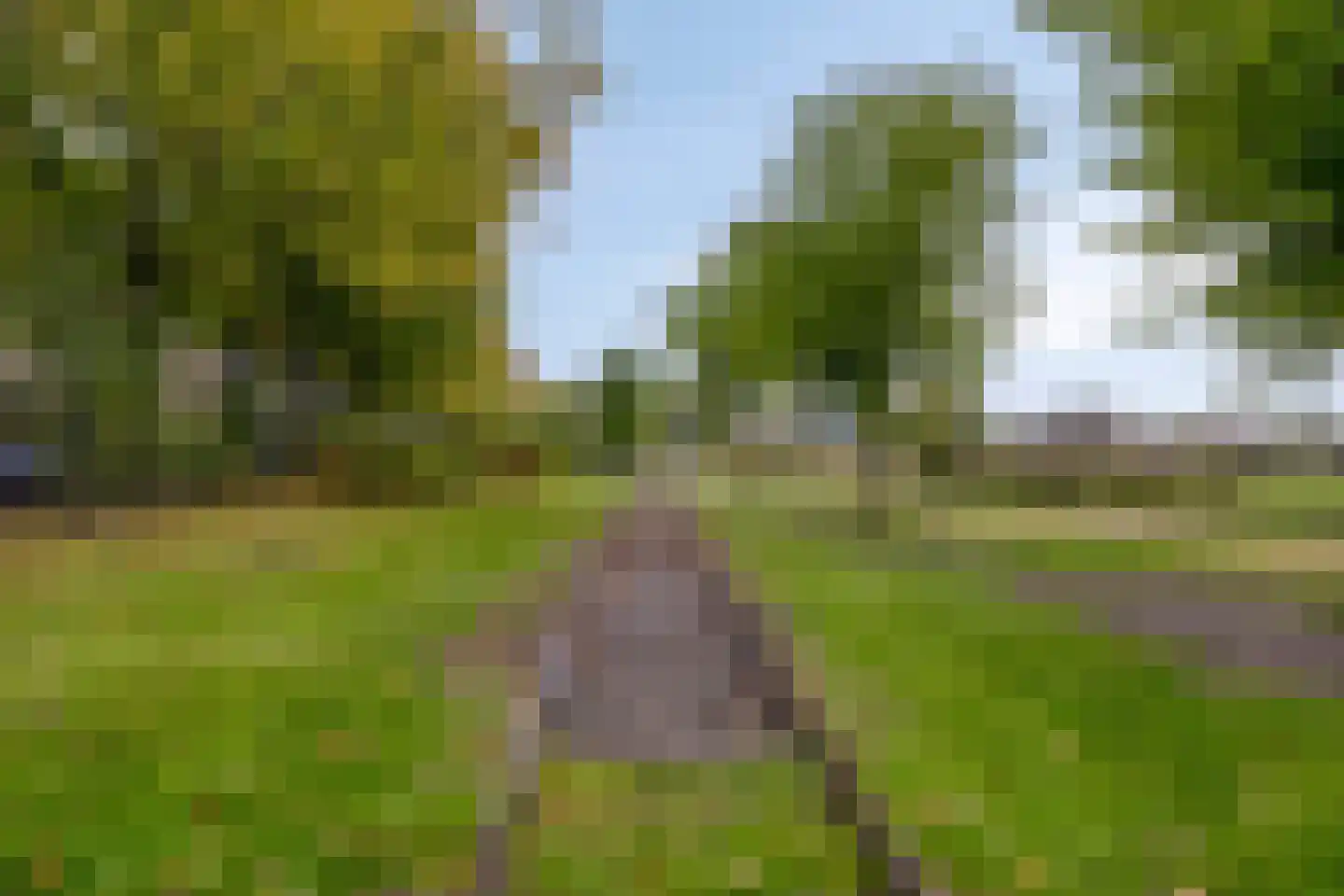 Boomstraat 118 d Tilburg thumbnail 45