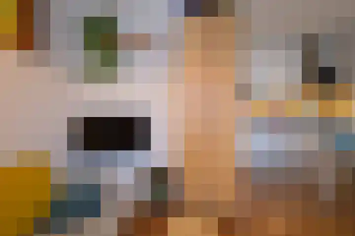 Boomstraat 12 B Utrecht thumbnail 12