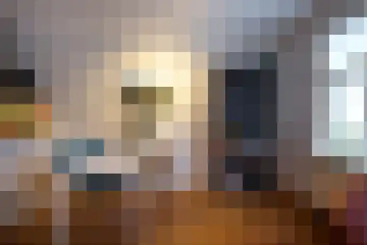 Boomstraat 12 B Utrecht thumbnail 14