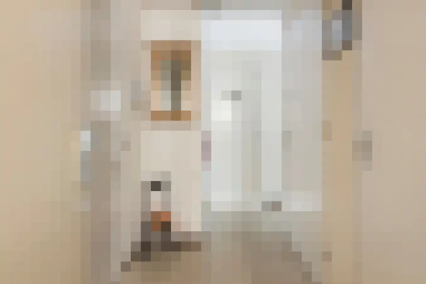 Boomstraat 124 d Tilburg thumbnail 10