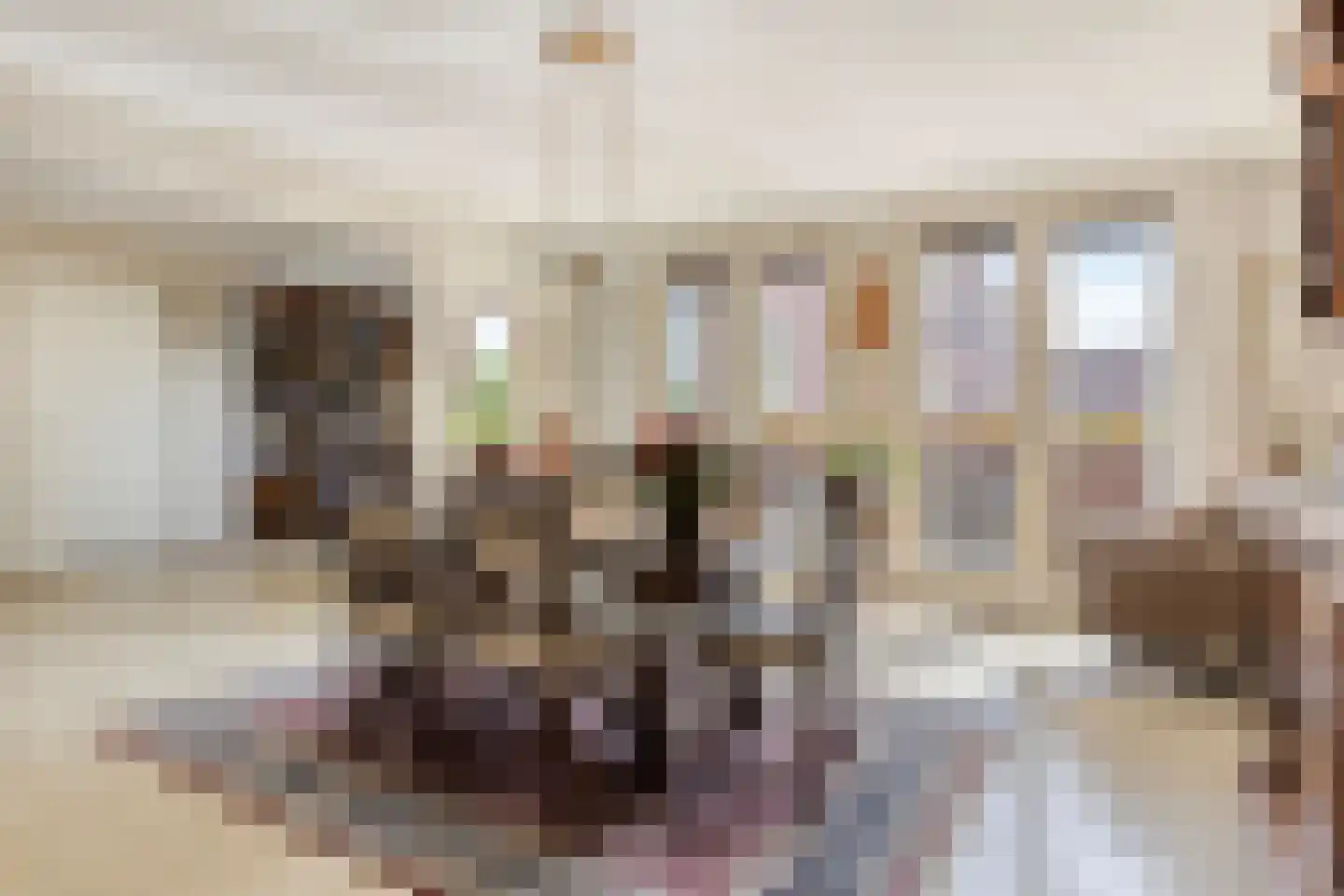Boomstraat 124 d Tilburg thumbnail 12