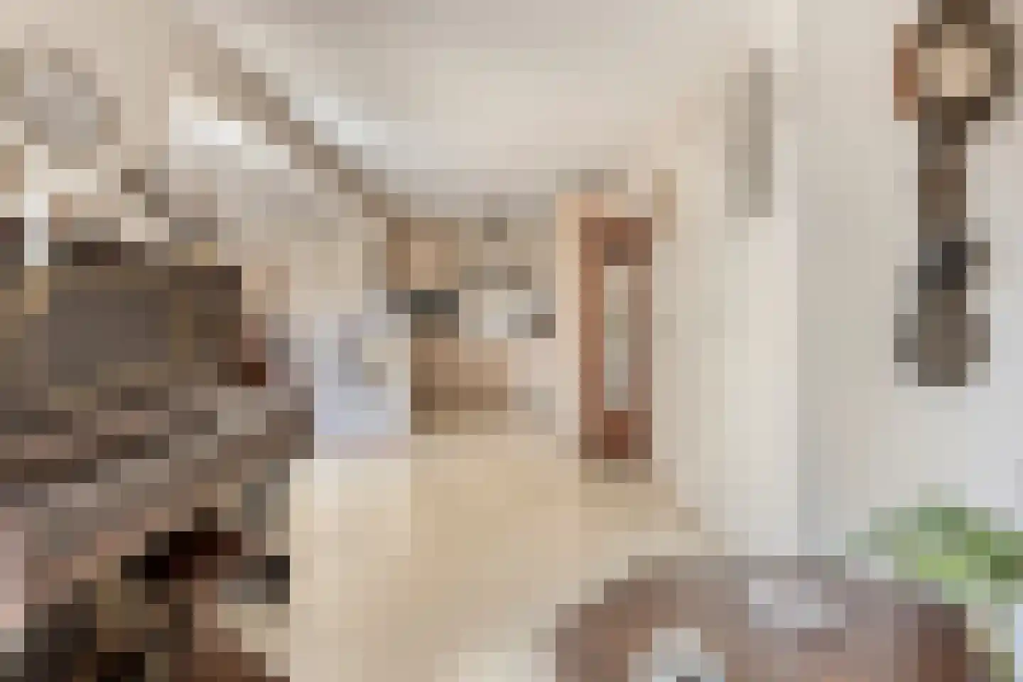 Boomstraat 124 d Tilburg thumbnail 16