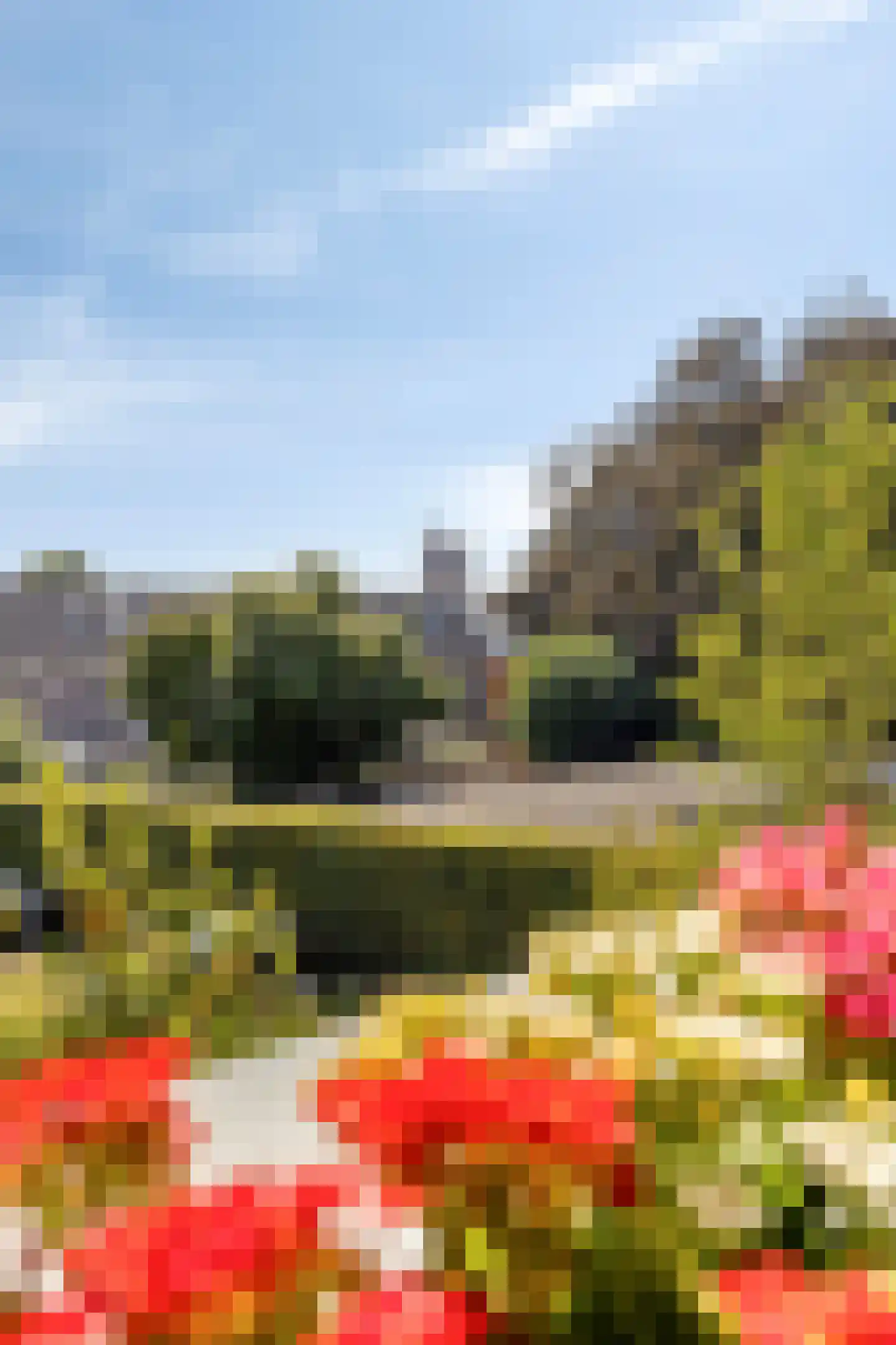 Boomstraat 124 d Tilburg thumbnail 22